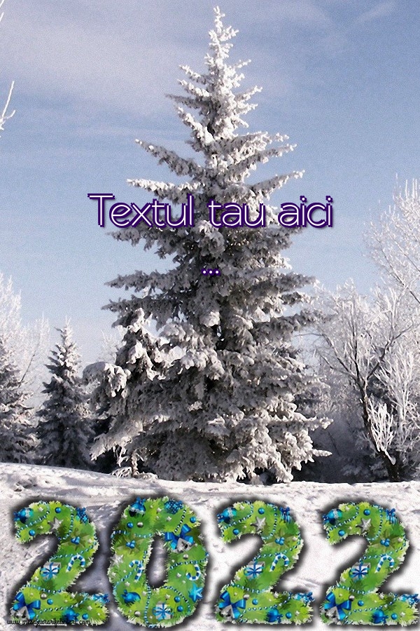 Personalizare felicitari cu text de Anul Nou