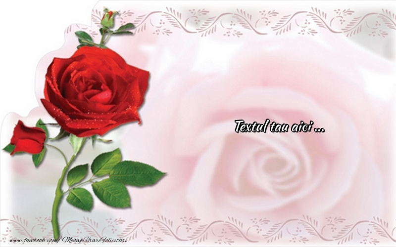 Personalizare felicitari cu text de dragoste | Imagine cu un trandafir rosu pe fundal abstract