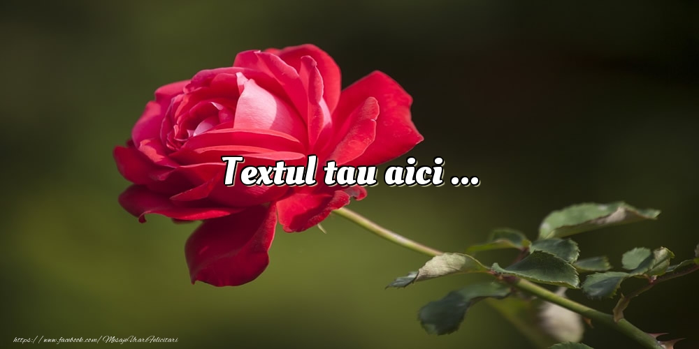 Personalizare felicitari cu text de zi de nastere | Trandafir