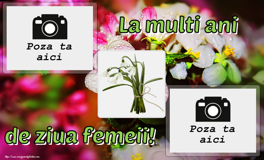Personalizare felicitari de Ziua femeii 8 martie | La multi ani de ziua femeii! - Rama foto
