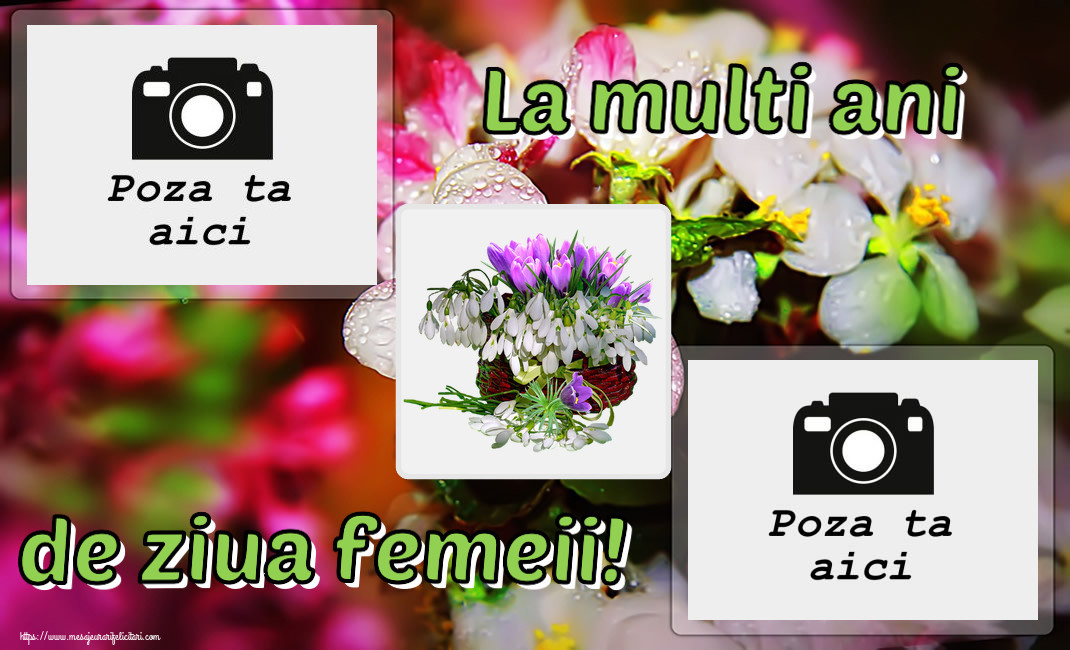 Personalizare felicitari de Ziua femeii 8 martie | La multi ani de ziua femeii! - Rama foto