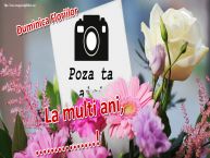 Personalizare felicitari de Florii | Duminica Floriilor La multi ani, ...! - Rama foto