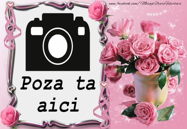 Poza Cu Inprimanta Roz Trandafiri roz | Personalizare imagini | felicitaripersonalizate.com