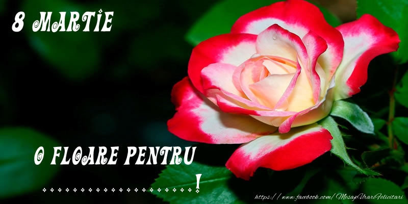 Personalizare felicitari de Ziua femeii 8 martie | O floare pentru ...!