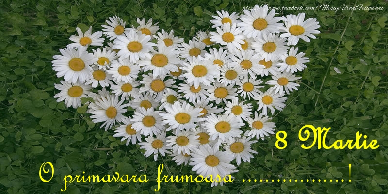 Personalizare felicitari de Ziua femeii 8 martie | O primavara frumoasa ...! 8 Martie