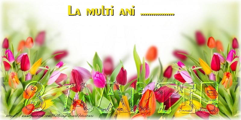 Personalizare felicitari de Ziua femeii 8 martie | La multi ani ... de 8 Martie - lalele colorate