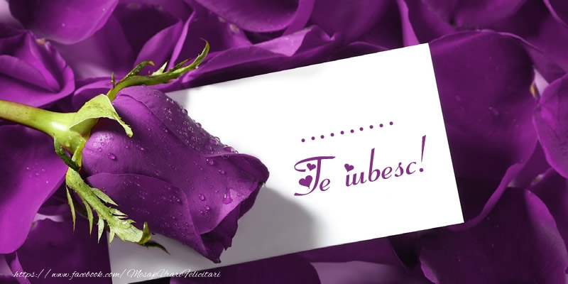 Personalizare felicitari de dragoste | ... Te iubesc!