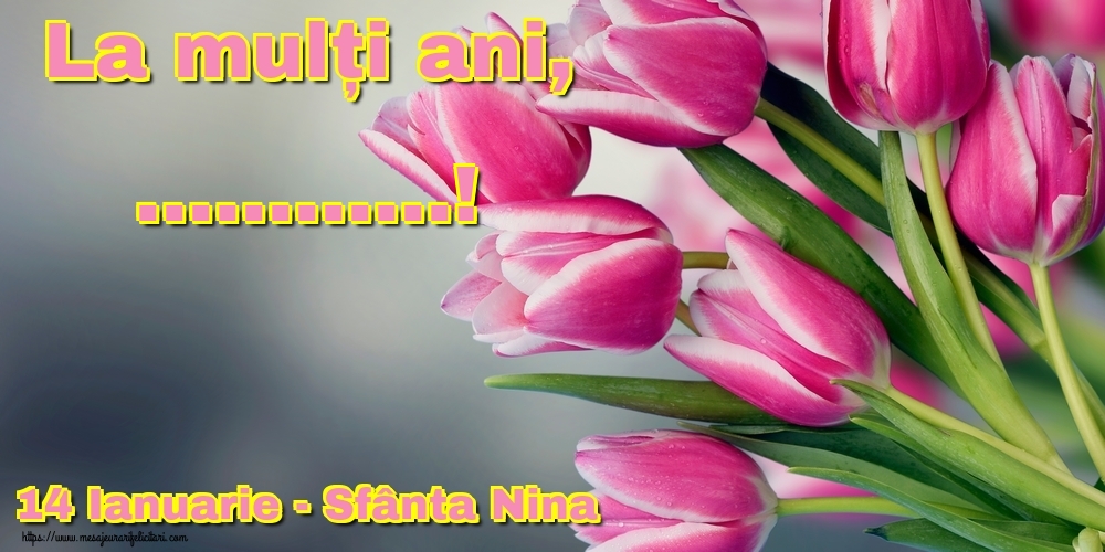 Personalizare Felicitari Cu Nume Sfanta Nina 14 Ianuarie Sfanta Nina La MulÈi Ani Felicitaripersonalizate Com