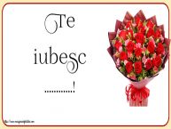 Personalizare felicitari de Valentines Day | Te iubesc ...!
