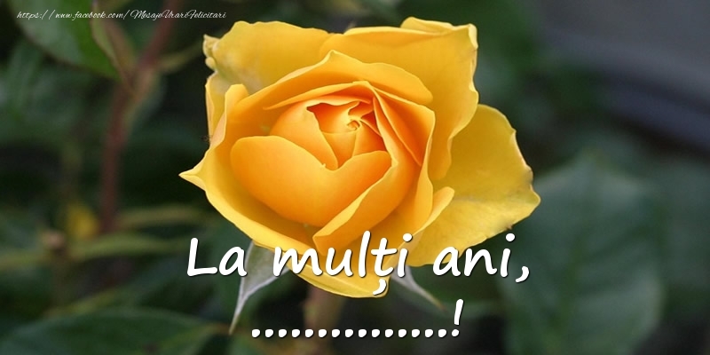 Personalizare felicitari de Ziua Numelui | La mulți ani, ...!