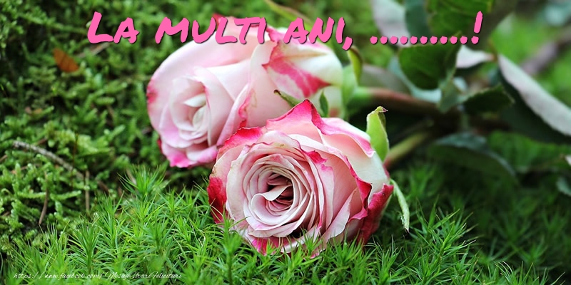Personalizare felicitari de Ziua Numelui | La multi ani, ...!