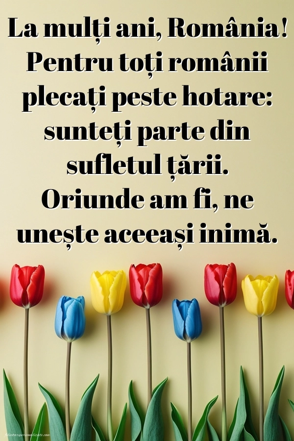 Poze cu urări de 1 Decembrie 2025: Lalele