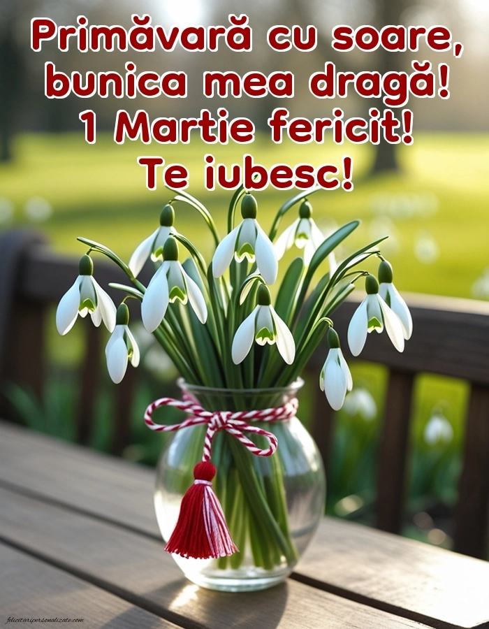 Imagini cu felicitări de 1 Martie pentru Bunică: Ghiocei