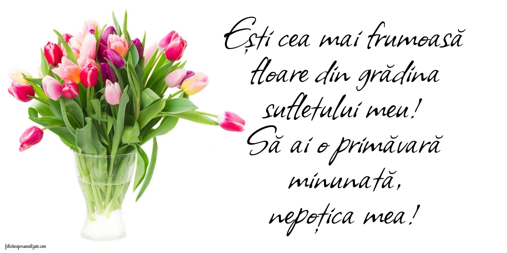 Imagini cu felicitări de 1 Martie pentru Nepoată: Lalele