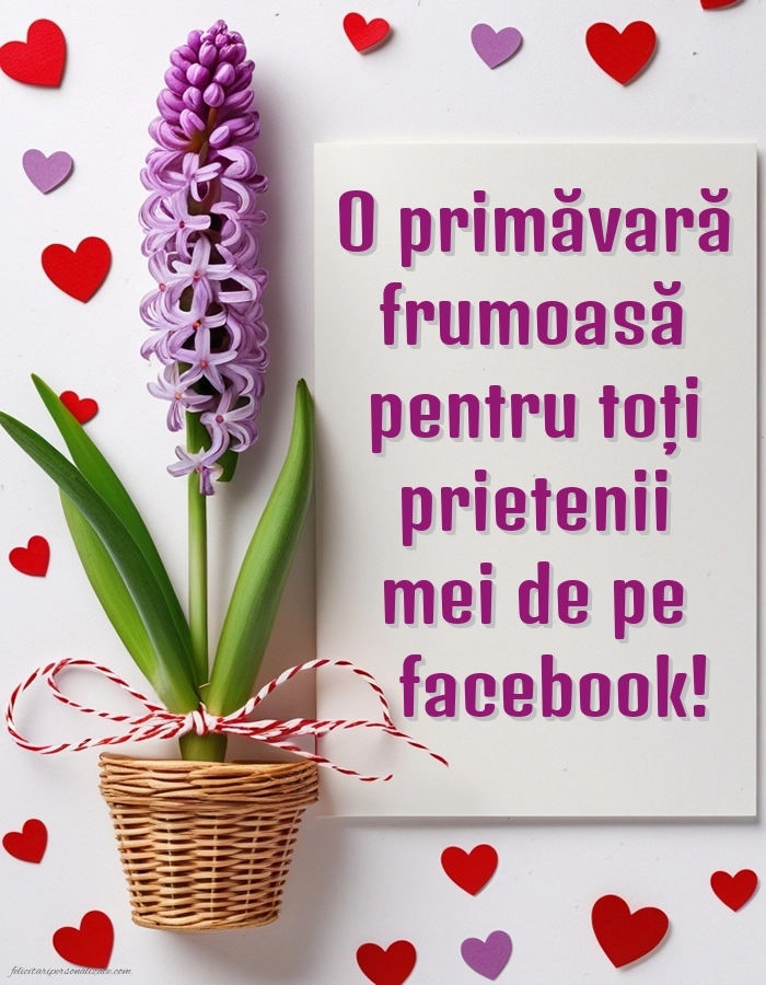 Poze cu urări de 1 Martie: Zambile