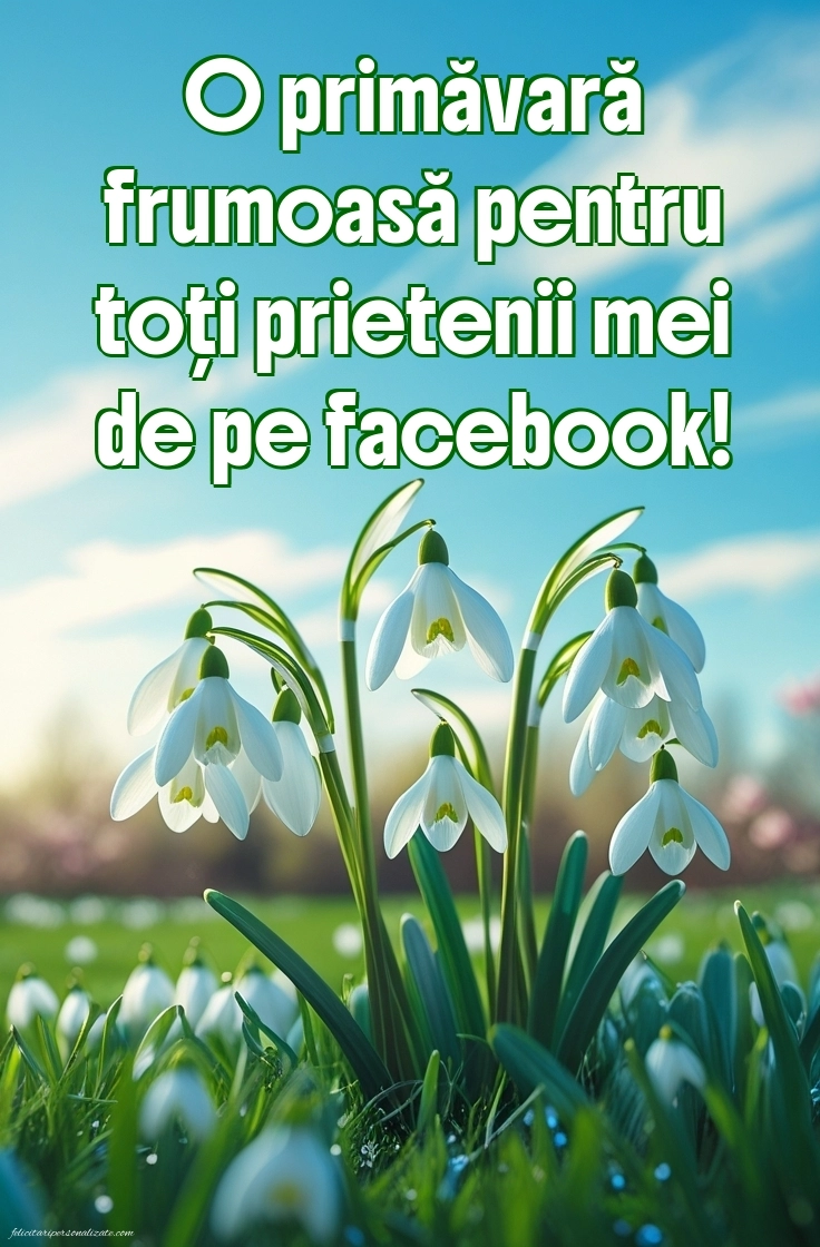 Urări de 1 Martie cu imagini: Ghiocei