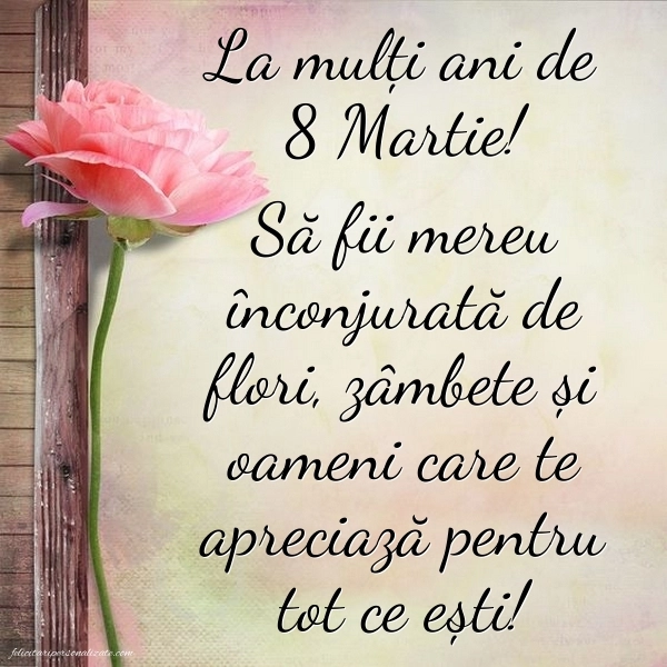 Cele mai frumoase imagini cu mesaje de Ziua Femeii: Flori