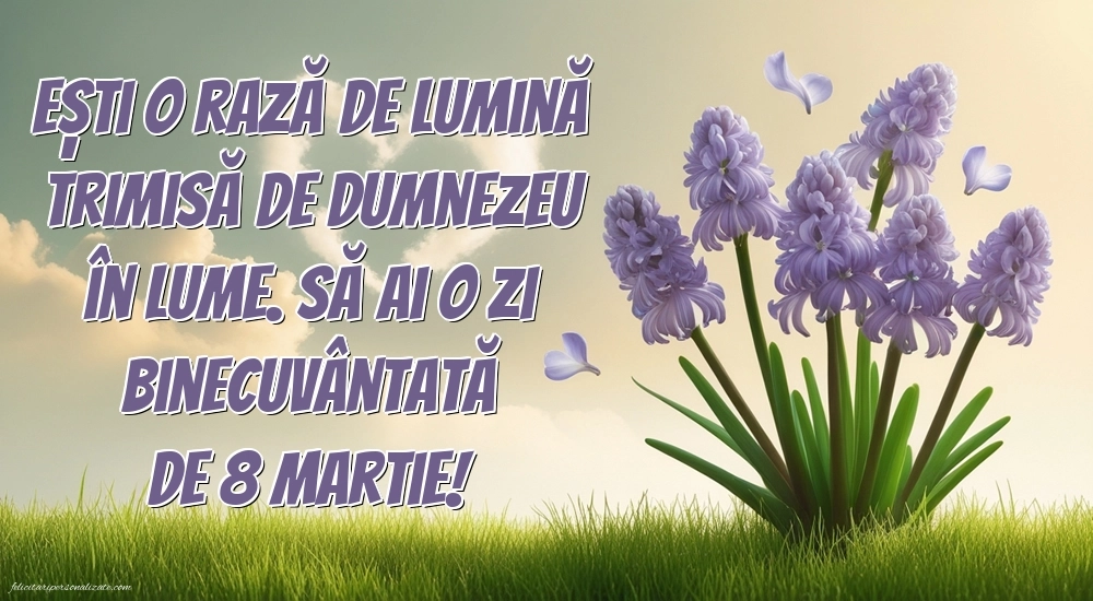 Cele mai frumoase imagini cu mesaje de Ziua Femeii: Zambile