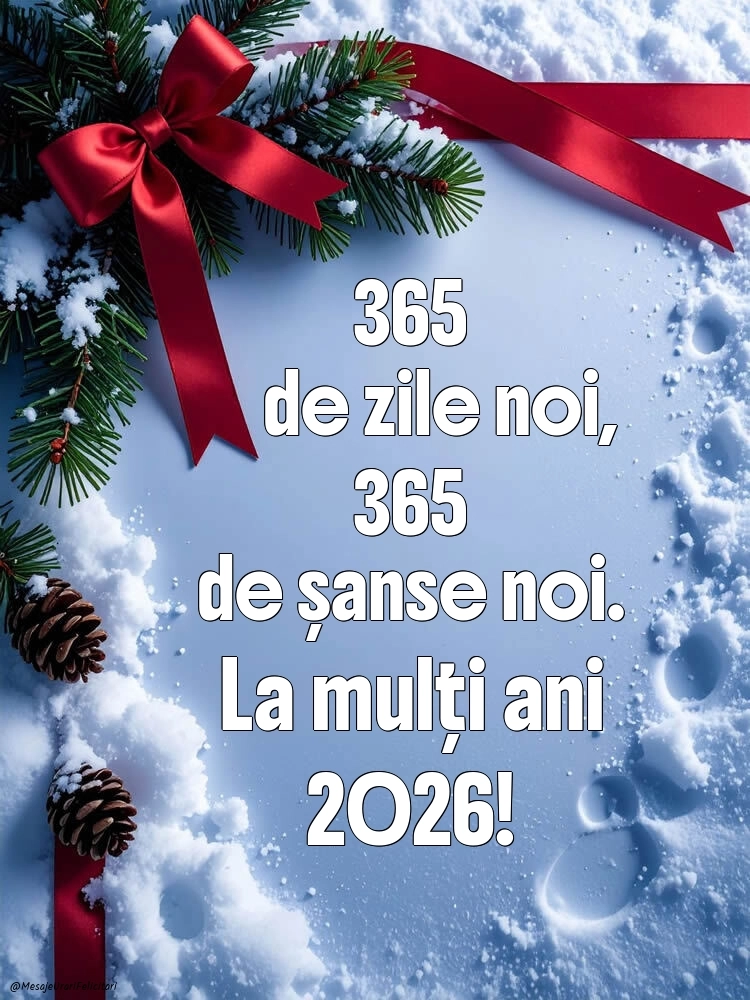Poze de Anul Nou 2026 cu mesaje: Aranjamente de Crăciun