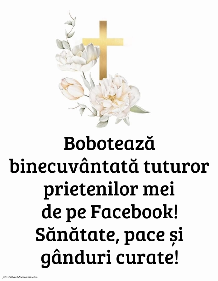 Imagini de Bobotează 2026: Credință