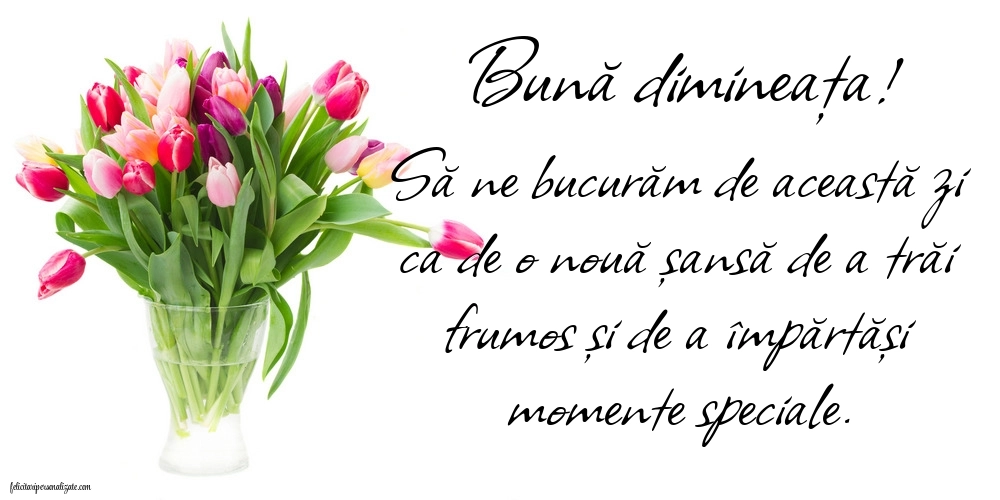 Imagini de BUNĂ DIMINEAȚA: Lalele