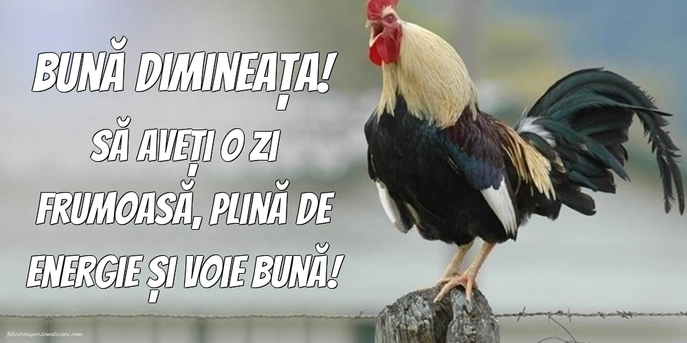 Imagini de BUNĂ DIMINEAȚA: Animale