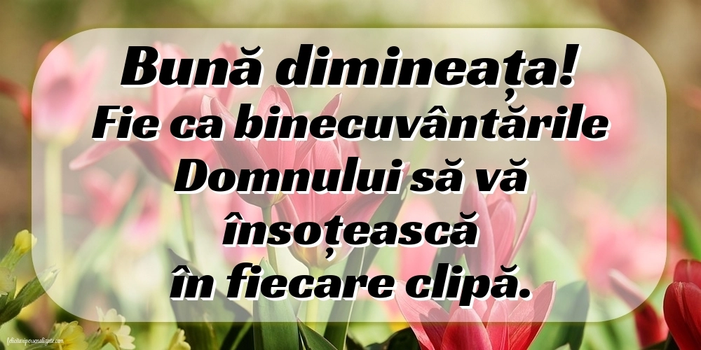 BUNĂ DIMINEAȚA! - Imagini cu mesaje religioase: Flori