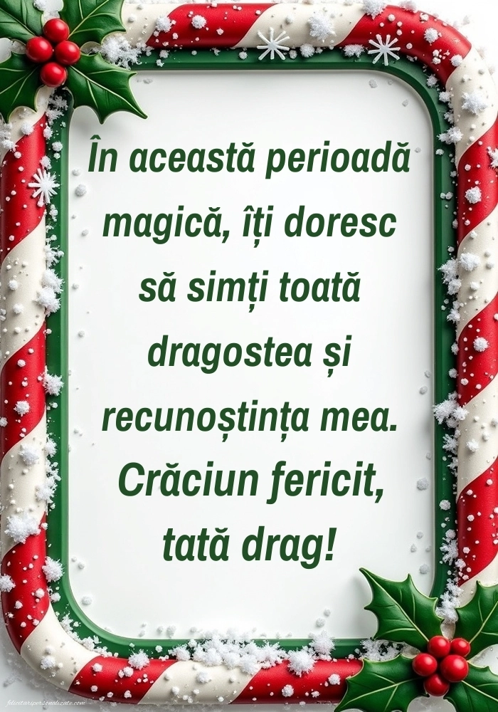 Imagini cu felicitări de Crăciun pentru Tată: Aranjamente de Crăciun