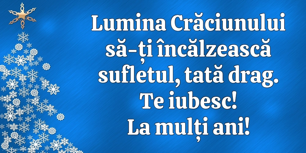 Imagini cu felicitări de Crăciun pentru Tată: Aranjamente de Crăciun