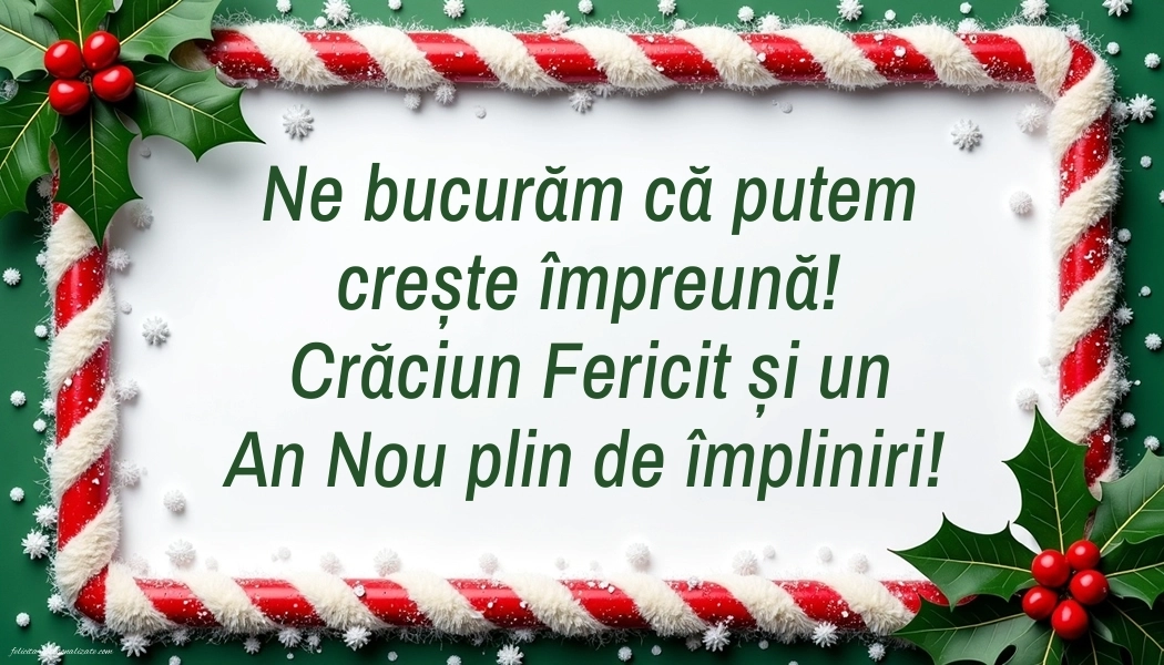 Imagini cu Urări de Crăciun pentru Clienți: Aranjamente de Crăciun