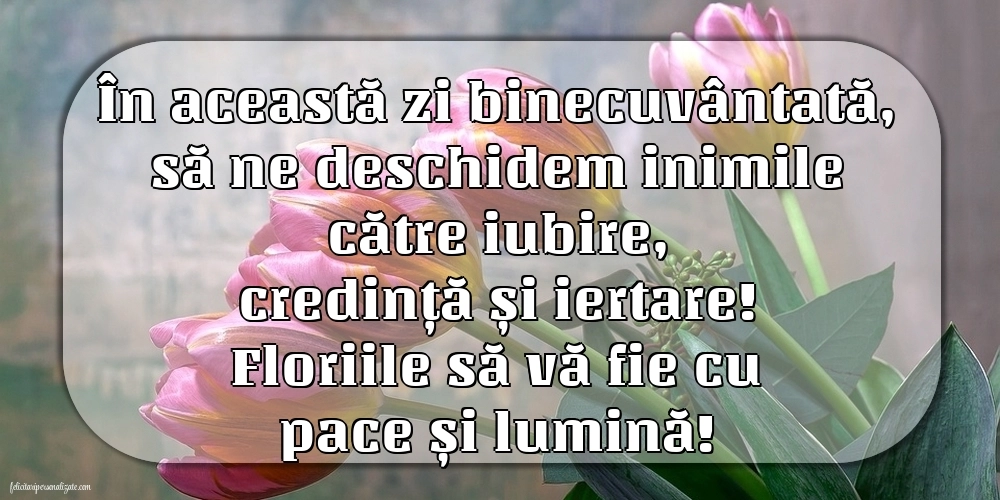 Imagini de Florii 2025: Lalele