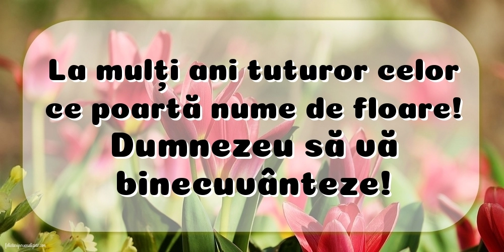 Felicitări și Imagini de Florii: Flori