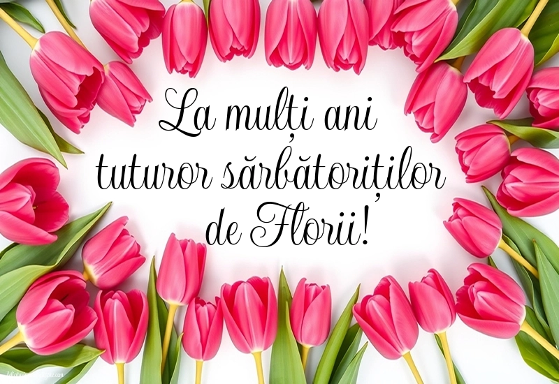 Poze cu urări de Florii 2026: Lalele