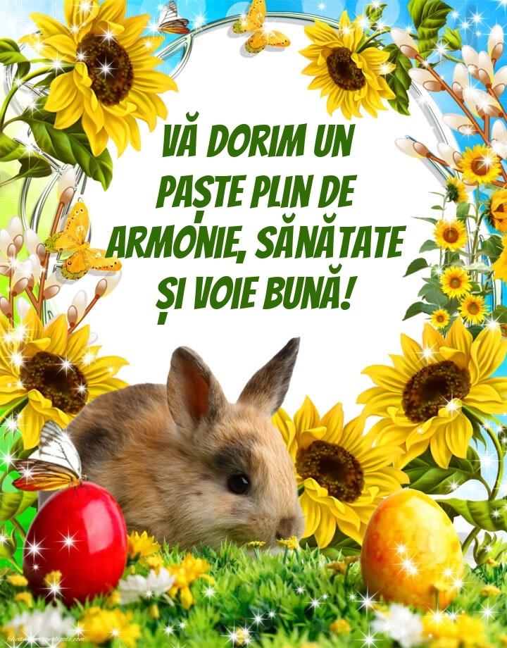 Imagini cu urări frumoase de Paște: Iepurași de Paște