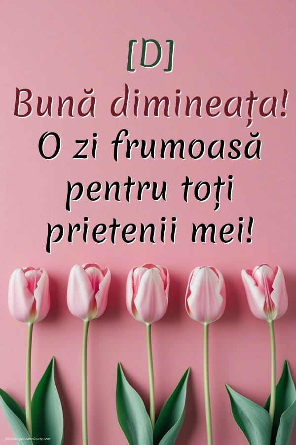 Imagini de Bună Dimineața pentru FACEBOOK: Lalele