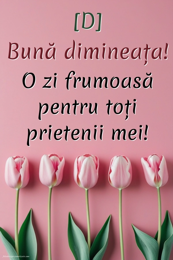 Imagini de Bună Dimineața pentru FACEBOOK: Lalele