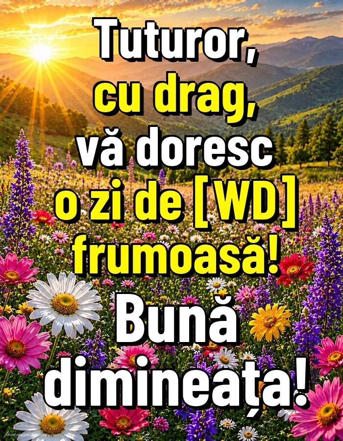 Imagini de Bună Dimineața cu Zilele Săptămânii: Flori