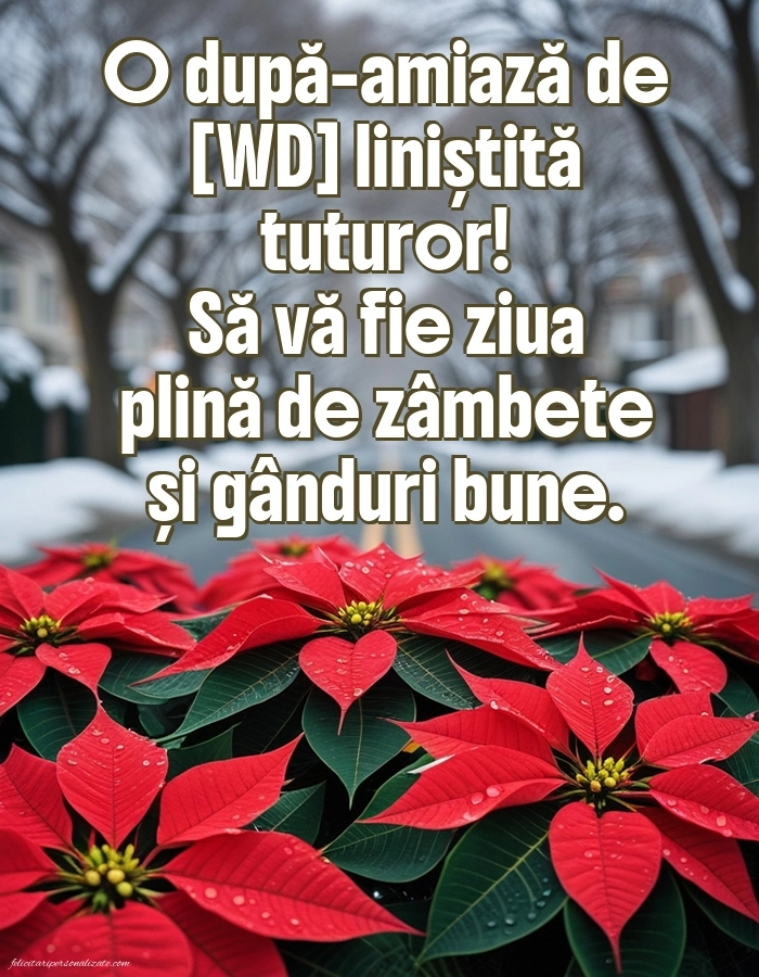 Imagini de După-amiază pentru FACEBOOK: Flori