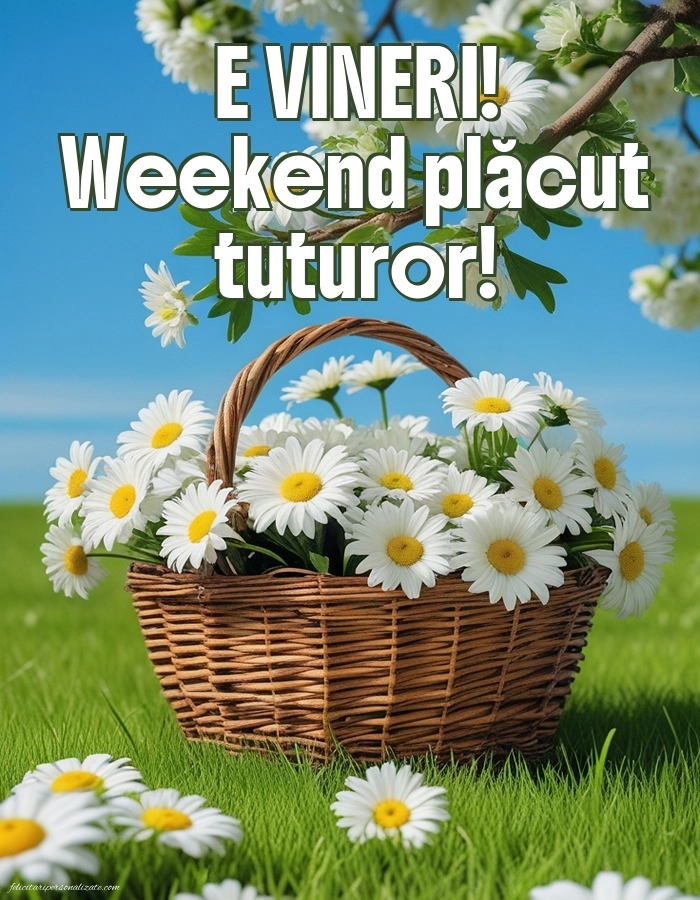 Imagini de După-amiază pentru FACEBOOK: Peisaj de primăvară