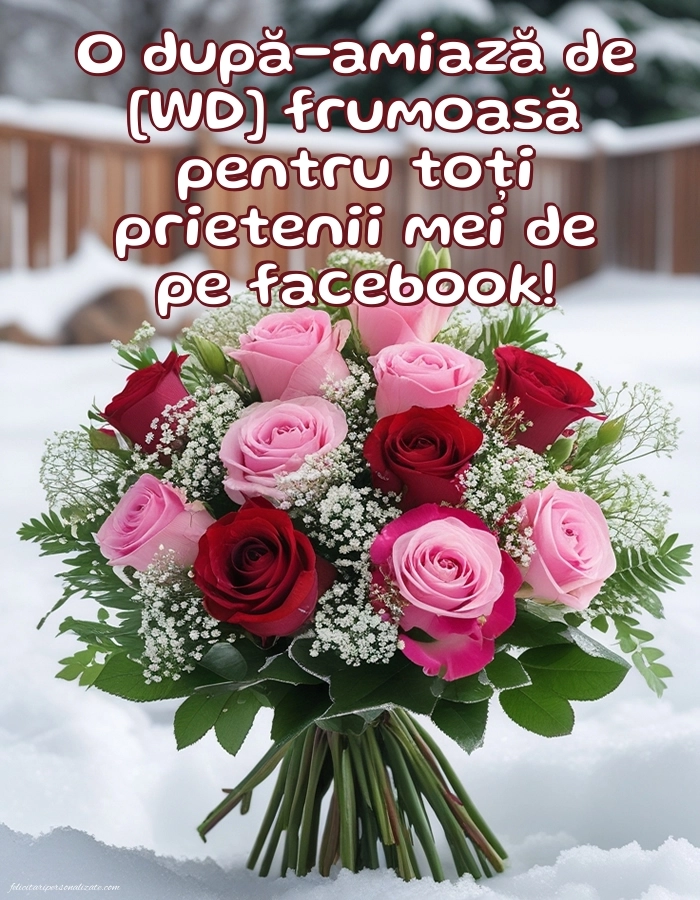 Imagini de După-amiază pentru FACEBOOK: Trandafiri