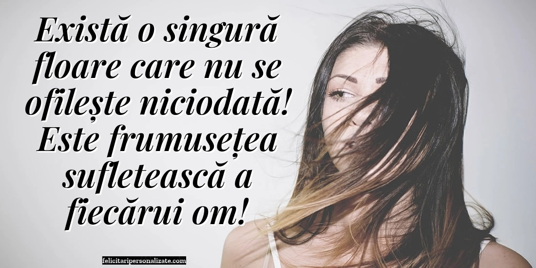 Imagini cu mesaje de suflet și cugetări pentru Facebook: Viața