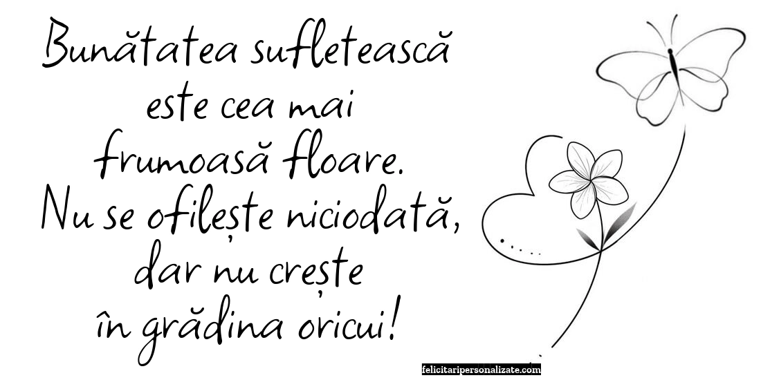 Imagini cu mesaje de suflet și cugetări pentru Facebook: Viața