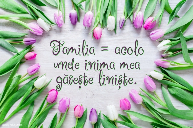 Imagini pentru FACEBOOK: Lalele