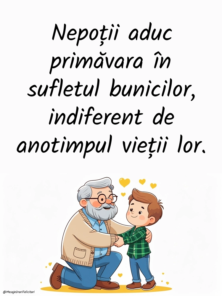 Imagini cu mesaje frumoase despre BUNICI și NEPOȚI: Bunici