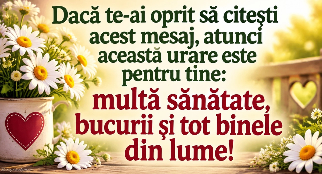 Imagini cu mesaje pentru Social Media: 