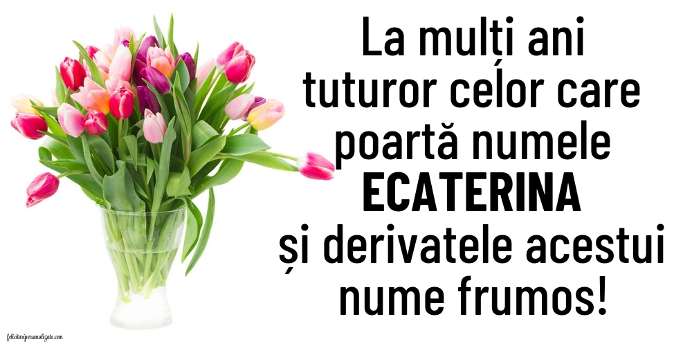 Poze cu mesaje de Sf. Ecaterina (25 Noiembrie): Lalele