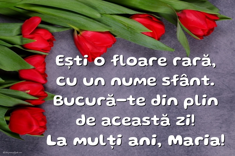 Imagini cu urări de Sfânta Maria Mare 15 August 2025: Flori
