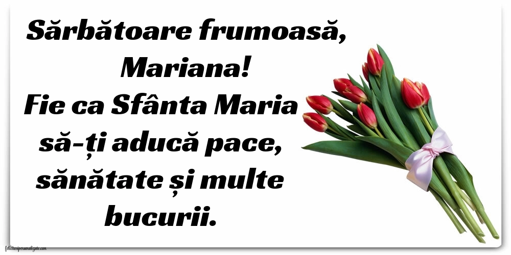 Felicitări și imagini de 15 August - Sfânta Maria Mare: Lalele