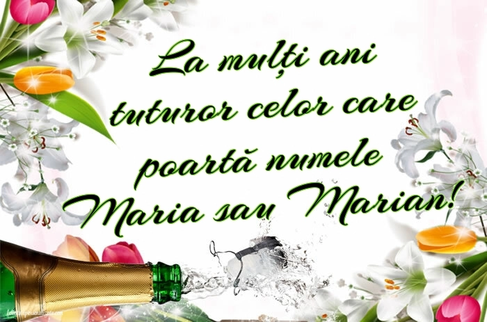 Poze cu mesaje de Sfânta Maria: Șampanie și flori