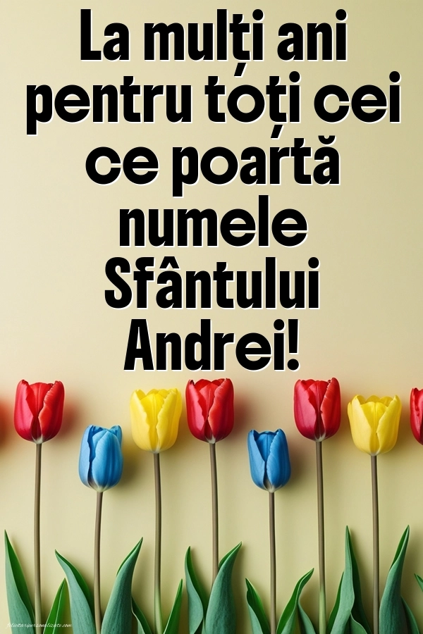 La mulți ani de Sfântul Andrei! - Imagini cu mesaje frumoase: Lalele